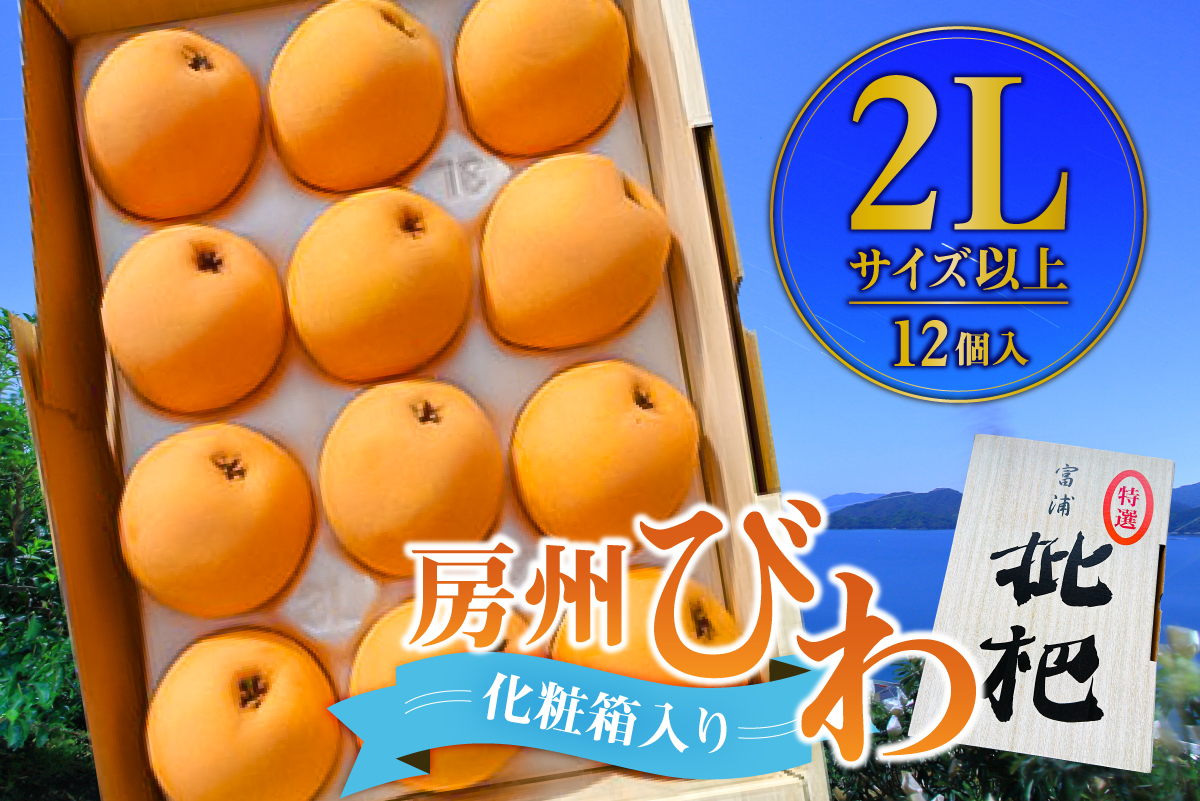 [先行受付 2026年5月中旬〜6月下旬発送予定]房州びわ 2Lサイズ以上 12個(化粧箱入) mi