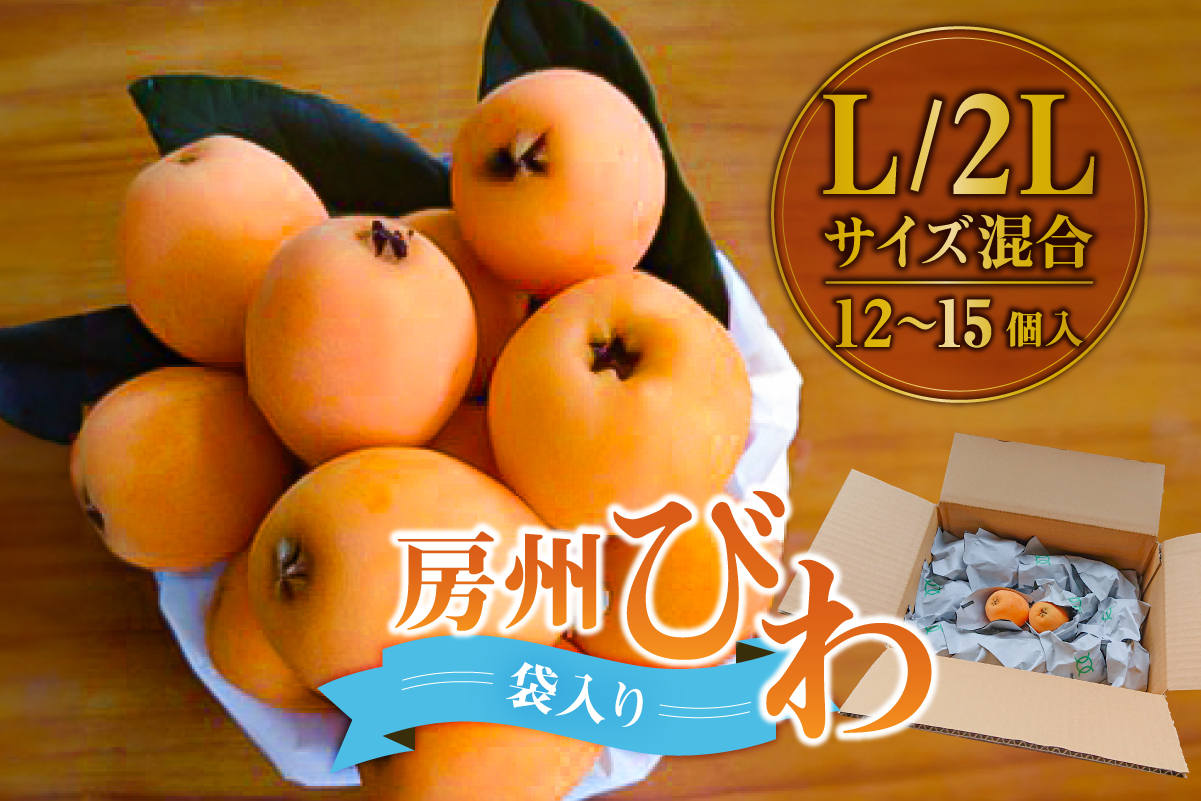 [先行受付 2026年5月中旬〜6月下旬発送予定]房州びわ L・2Lサイズ混合袋びわ(袋入) mi