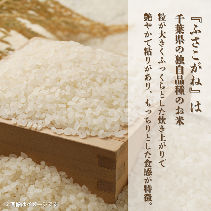 令和7年産 ふさこがね 精米 10kg （ 5kg × 2 ） ／ 米 こめ コメ お米 ごはん ご飯 精米 白米 10kg 5kg ふさこがね 令和7年産 新米 JA 農協 ちばみどり ちばみどり農業協同組合 千葉県 匝瑳市 送料無料