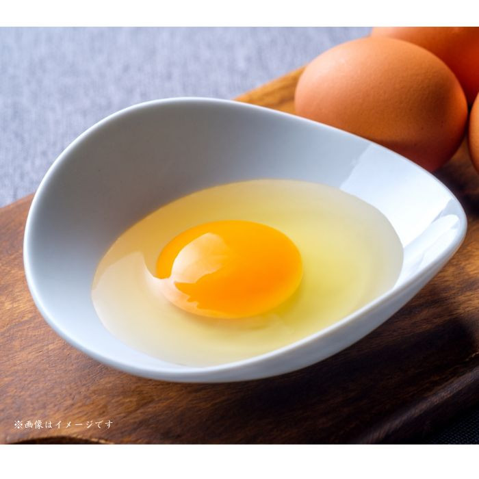 小川エッグの赤たまごLサイズ贈答用 160個 赤たまご たまご 卵 玉子 タマゴ 新鮮 旨み 甘み 贈答用 贈答 ギフト 贈り物 千葉県 匝瑳市