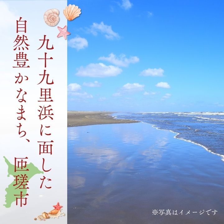 匝瑳市産水稲もち米使用　玄米餅　約1.9kg ／ 玄米餅 餅 切り餅 送料無料 匝瑳市 千葉