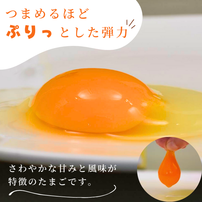 九十九里ファームこだわりたまご９０個～あおい海・みどりの里～《赤玉》 ／ たまご 卵 玉子 タマゴ 生卵 卵かけご飯 鶏卵 90個