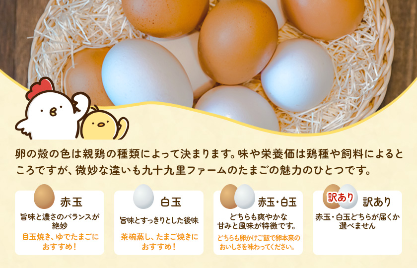 《訳あり》九十九里ファームこだわりたまご 30個～あおい海・みどりの里～（赤玉or白玉） ／ たまご 卵 玉子 タマゴ 30個 卵かけご飯 新鮮 旨み 甘み 贈答用 贈答 ギフト 贈り物 訳あり 訳アリ 千葉県 匝瑳市 送料無料 期間限定