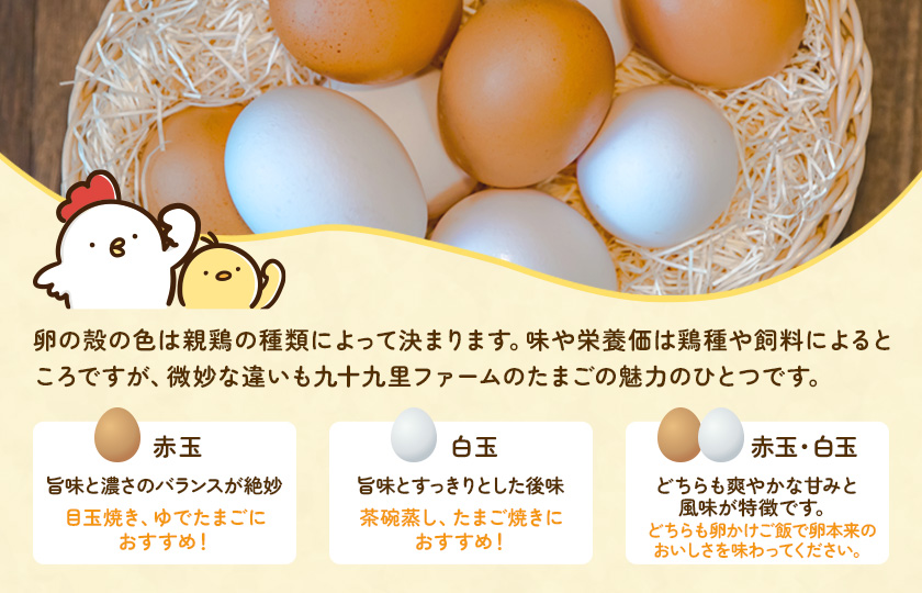 【定期便9回】九十九里ファームこだわりたまご贈答用30個～あおい海・みどりの里～《赤玉》 ／ たまご 卵 玉子 タマゴ 生卵 卵かけご飯 鶏卵 30個 定期便 9回