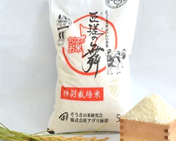令和7年産　米　10kg　匝瑳の舞　精米 ／ お米 コメ こめ ごはん ふさこがね 白米 精米 10kg チバエコ 特別栽培 新米 千葉県 匝瑳市