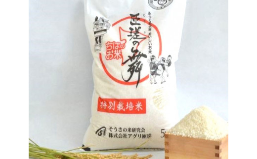 【定期便6回】 令和7年産　匝瑳の舞　精米　10kg ／ お米 米 コメ こめ ごはん ふさこがね 白米 精米 10kg チバエコ 特別栽培 千葉県 匝瑳市 10kg×6回