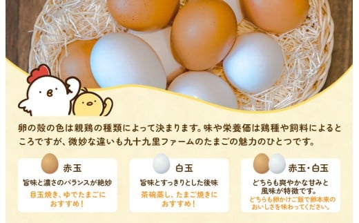 九十九里ファームこだわりたまご９０個～あおい海・みどりの里～《赤玉》 ／ たまご 卵 玉子 タマゴ 生卵 卵かけご飯 鶏卵 90個 赤玉　90個×1回