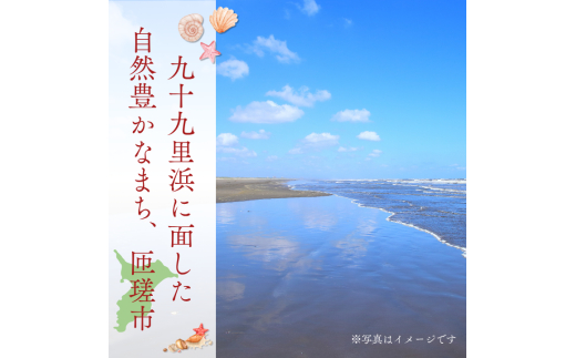 匝瑳市産水稲もち米使用　玄米餅　約1.9kg ／ 玄米餅 餅 切り餅 送料無料 匝瑳市 千葉