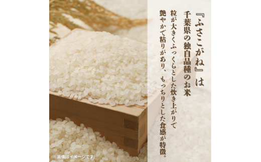 令和7年産 ふさこがね 精米 10kg （ 5kg × 2 ） ／ 米 こめ コメ お米 ごはん ご飯 精米 白米 10kg 5kg ふさこがね 令和7年産 新米 JA 農協 ちばみどり ちばみどり農業協同組合 千葉県 匝瑳市 送料無料