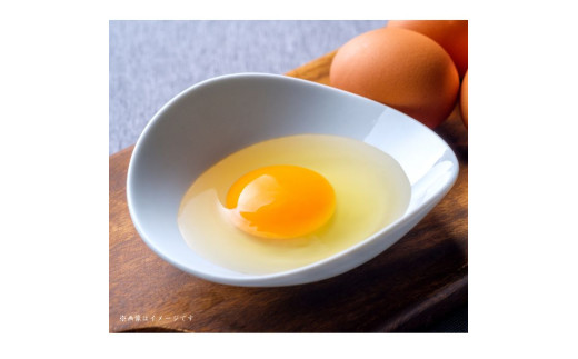 小川エッグの赤たまごLサイズ贈答用 160個 赤たまご たまご 卵 玉子 タマゴ 新鮮 旨み 甘み 贈答用 贈答 ギフト 贈り物 千葉県 匝瑳市 160個