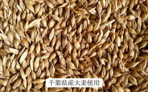 ちば麦茶40ティーパック入り 6個 6個（10g×40袋） 