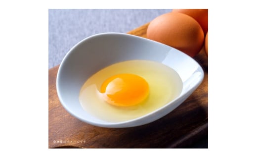 小川エッグの赤たまごLサイズ贈答用 120個 赤たまご たまご 卵 玉子 タマゴ 新鮮 旨み 甘み 贈答用 贈答 ギフト 贈り物 千葉県 匝瑳市 120個