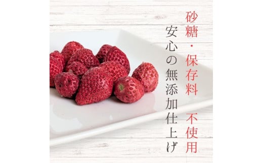 メルカドレグメス　フリーズドライフルーツ　いちご ／ フリーズドライフルーツ フリーズドライ フルーツ 果物 くだもの いちご イチゴ 苺 自家製 3000円 いちご