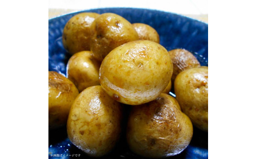 じゃがいも３種食べ比べ（キタアカリ・とうや・メークイン）計約6kg ／ じゃがいも ジャガイモ 馬鈴薯 キタアカリ とうや メークイン いも イモ 芋 詰合せ 食べ比べ 産地直送 野菜 6kg 千葉県 送料無料