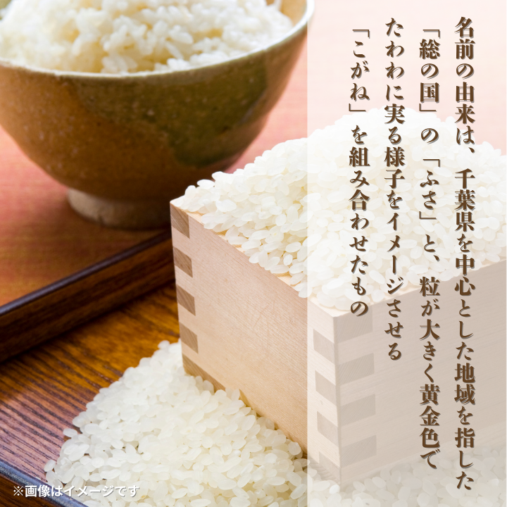 令和7年産 ふさこがね 精米 10kg （ 5kg × 2 ） ／ 米 こめ コメ お米 ごはん ご飯 精米 白米 10kg 5kg ふさこがね 令和7年産 新米 JA 農協 ちばみどり ちばみどり農業協同組合 千葉県 匝瑳市 送料無料