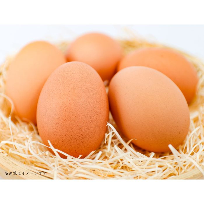 小川エッグの赤たまごLサイズ贈答用 160個 赤たまご たまご 卵 玉子 タマゴ 新鮮 旨み 甘み 贈答用 贈答 ギフト 贈り物 千葉県 匝瑳市