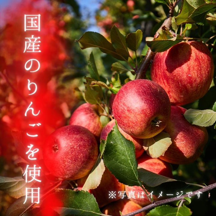 メルカドレグメス　フリーズドライフルーツ　りんご ／ フリーズドライフルーツ フリーズドライ フルーツ 果物 くだもの りんご リンゴ 林檎 自家製 3000円