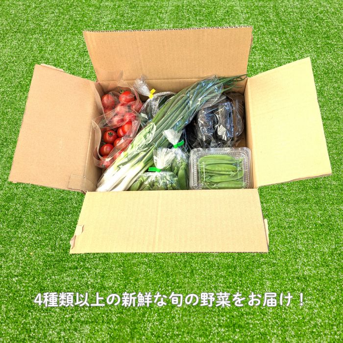 《定期便3ヶ月》旬のおまかせ野菜セット　4種類以上