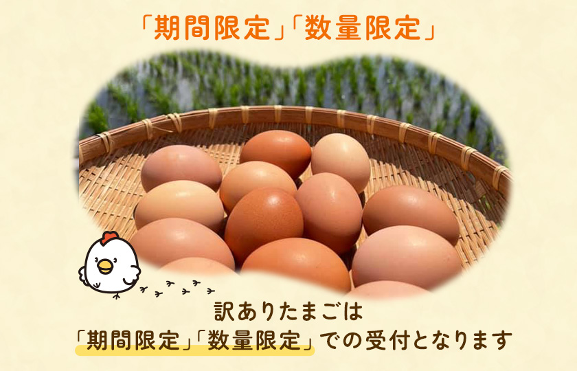 《訳あり》九十九里ファームこだわりたまご 30個～あおい海・みどりの里～（赤玉or白玉） ／ たまご 卵 玉子 タマゴ 30個 卵かけご飯 新鮮 旨み 甘み 贈答用 贈答 ギフト 贈り物 訳あり 訳アリ 千葉県 匝瑳市 送料無料 期間限定