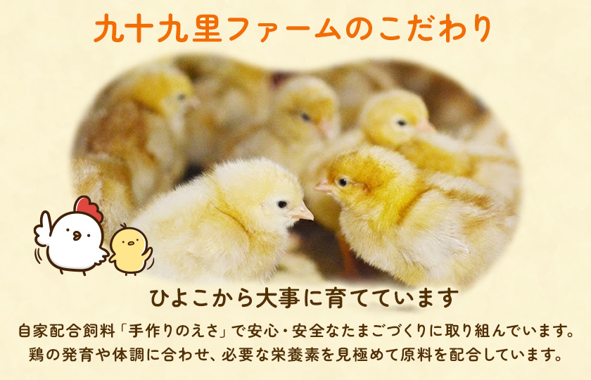 九十九里ファームこだわりたまご贈答用30個～あおい海・みどりの里～《赤玉》 ／ たまご 卵 玉子 タマゴ 生卵 卵かけご飯 鶏卵 30個