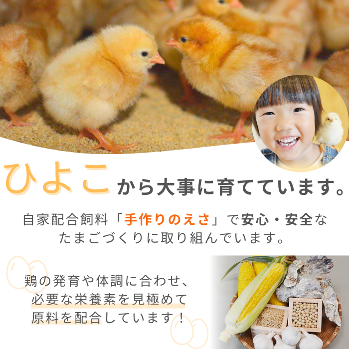 【定期便3回】九十九里ファームこだわりたまご贈答用30個～あおい海・みどりの里～《赤玉》 ／ たまご 卵 玉子 タマゴ 生卵 卵かけご飯 鶏卵 30個 定期便 3回