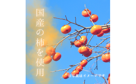 メルカドレグメス　ドライフルーツ　柿 ／ ドライフルーツ フルーツ 果物 くだもの 柿 かき カキ 自家製 3000円 柿