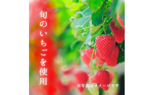 メルカドレグメス　フリーズドライフルーツ　いちご ／ フリーズドライフルーツ フリーズドライ フルーツ 果物 くだもの いちご イチゴ 苺 自家製 3000円 いちご