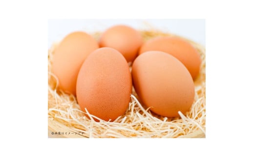 小川エッグの赤たまごLサイズ贈答用 160個 赤たまご たまご 卵 玉子 タマゴ 新鮮 旨み 甘み 贈答用 贈答 ギフト 贈り物 千葉県 匝瑳市 160個