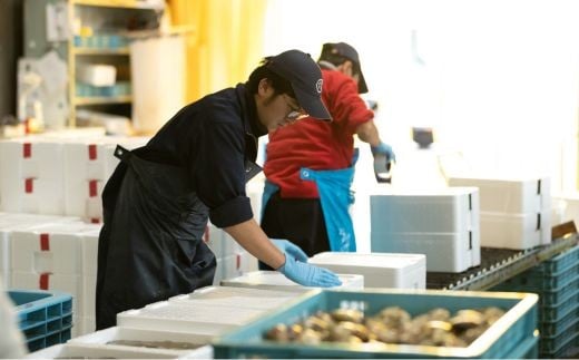 九十九里浜産　活地はまぐり約3kg 約3kg