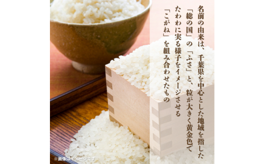 令和7年産 ふさこがね 精米 10kg （ 5kg × 2 ） ／ 米 こめ コメ お米 ごはん ご飯 精米 白米 10kg 5kg ふさこがね 令和7年産 新米 JA 農協 ちばみどり ちばみどり農業協同組合 千葉県 匝瑳市 送料無料