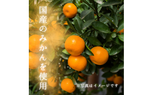 メルカドレグメス　ドライフルーツ　みかん ／ ドライフルーツ フルーツ 果物 くだもの みかん ミカン 蜜柑 自家製 3000円 みかん