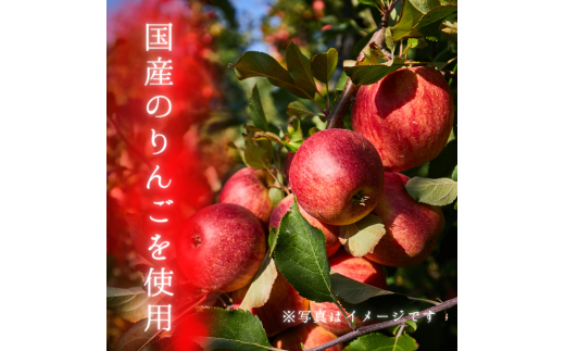 メルカドレグメス　フリーズドライフルーツ　りんご ／ フリーズドライフルーツ フリーズドライ フルーツ 果物 くだもの りんご リンゴ 林檎 自家製 3000円 りんご