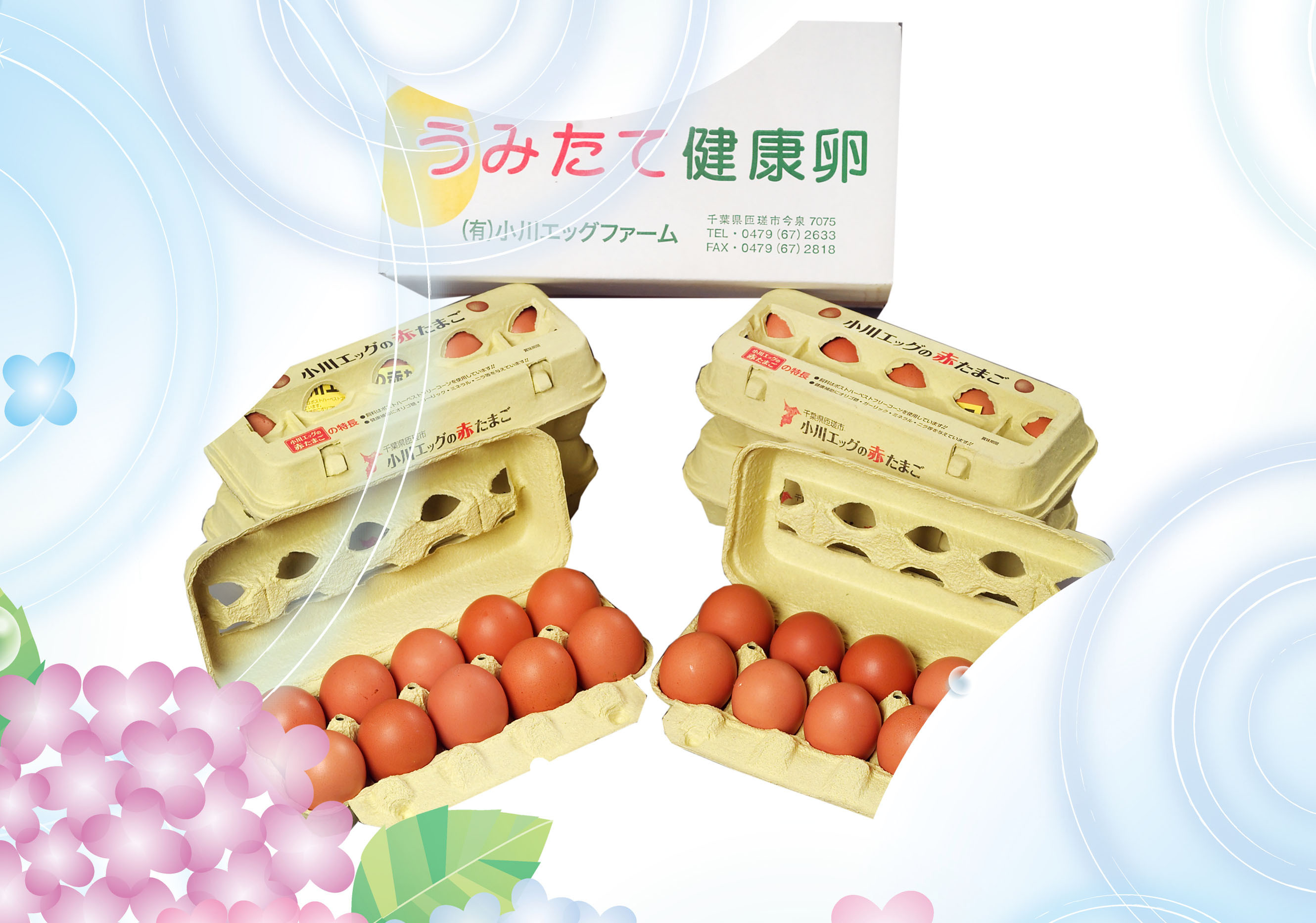 小川エッグの赤たまごLサイズ贈答用 120個 赤たまご たまご 卵 玉子 タマゴ 新鮮 旨み 甘み 贈答用 贈答 ギフト 贈り物 千葉県 匝瑳市