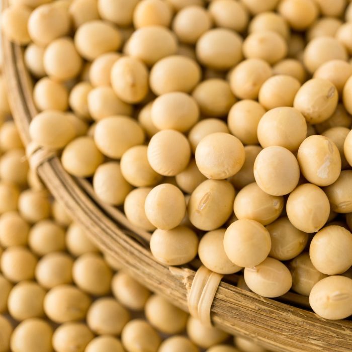 堀川みそ　900g×3パック