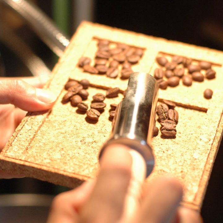 ドゥ　ムートン　ブレンド　200g×3袋（粉） ／ 珈琲 コーヒー 珈琲豆 コーヒー豆 スペシャルティコーヒー