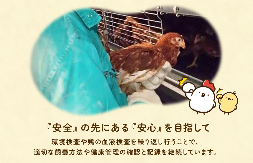 【定期便12回】九十九里ファームこだわりたまご贈答用30個～あおい海・みどりの里～《白玉》 ／ たまご 卵 玉子 タマゴ 生卵 卵かけご飯 鶏卵 30個 定期便 12回