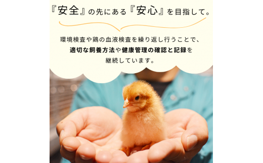 【定期便9回】九十九里ファームこだわりたまご贈答用30個～あおい海・みどりの里～《赤玉》 ／ たまご 卵 玉子 タマゴ 生卵 卵かけご飯 鶏卵 30個 定期便 9回