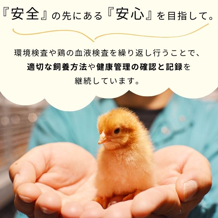 九十九里ファームこだわりたまご贈答用30個～あおい海・みどりの里～《白玉》 ／ たまご 卵 玉子 タマゴ 生卵 卵かけご飯 鶏卵 30個