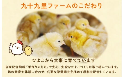 《訳あり》九十九里ファームこだわりたまご 30個～あおい海・みどりの里～（赤玉or白玉） ／ たまご 卵 玉子 タマゴ 30個 卵かけご飯 新鮮 旨み 甘み 贈答用 贈答 ギフト 贈り物 訳あり 訳アリ 千葉県 匝瑳市 送料無料 期間限定 訳あり　30個　赤玉or白玉