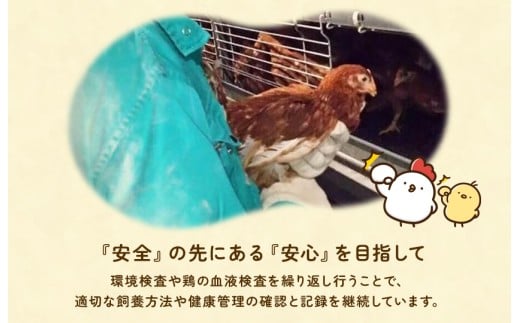 【定期便6回】九十九里ファームこだわりたまご贈答用30個～あおい海・みどりの里～《赤玉》 ／ たまご 卵 玉子 タマゴ 生卵 卵かけご飯 鶏卵 30個 定期便 6回 赤玉　30個×6回