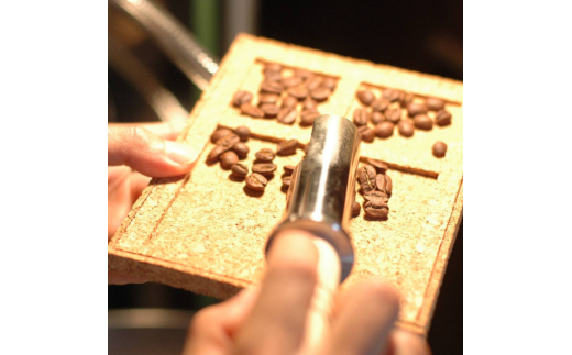 ドゥ　ムートン　ブレンド　200g×3袋（豆） ／ 珈琲 コーヒー 珈琲豆 コーヒー豆 スペシャルティコーヒー 豆