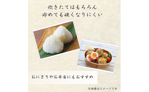 令和7年産 ふさこがね 精米 10kg （ 5kg × 2 ） ／ 米 こめ コメ お米 ごはん ご飯 精米 白米 10kg 5kg ふさこがね 令和7年産 新米 JA 農協 ちばみどり ちばみどり農業協同組合 千葉県 匝瑳市 送料無料