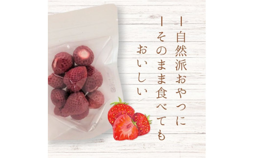 メルカドレグメス　フリーズドライフルーツ　いちご ／ フリーズドライフルーツ フリーズドライ フルーツ 果物 くだもの いちご イチゴ 苺 自家製 3000円 いちご