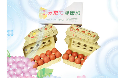 小川エッグの赤たまごLサイズ贈答用 120個 赤たまご たまご 卵 玉子 タマゴ 新鮮 旨み 甘み 贈答用 贈答 ギフト 贈り物 千葉県 匝瑳市 120個