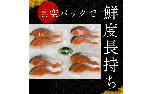 本格銀鮭甘塩切身セット 8切 640g 鮭 切り身 個包装 冷凍 さけ サケ しゃけ 銀鮭 千葉県 匝瑳市