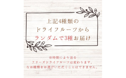 メルカドレグメス　フリーズドライフルーツ　3種セット ／ フリーズドライフルーツ フリーズドライ フルーツ 果物 くだもの いちご イチゴ 苺 柿 かき カキ りんご リンゴ 林檎 バナナ 自家製 セット 詰め合わせ