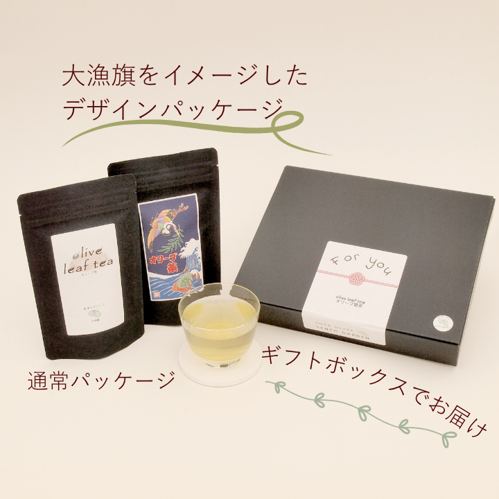 《ギフトボックス入り》匝瑳オリーブ 千朋園　オリーブ茶　2袋 60g（1袋2g×15パック×2袋） ／ お茶 オリーブ茶 オリーブ オレウロペイン ポリフェノール ティーバッグ ギフト 贈答 贈り物