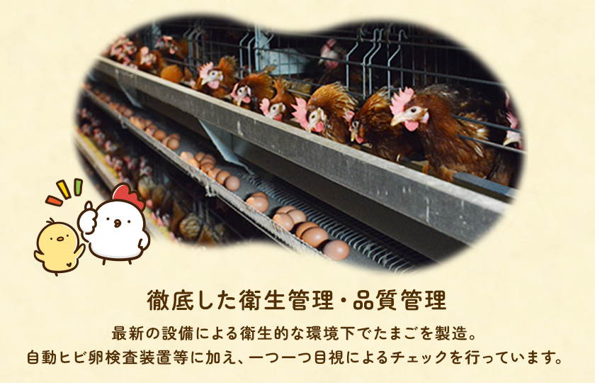 【定期便12回】九十九里ファームこだわりたまご贈答用30個～あおい海・みどりの里～《赤玉》 ／ たまご 卵 玉子 タマゴ 生卵 卵かけご飯 鶏卵 30個 定期便 12回