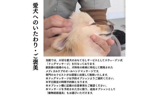 愛犬と癒しの旅　ナガラミリゾートSOSA ご宿泊利用券 15万円分 ／ 宿泊 宿泊券 リゾート ヴィラ ホテル 犬 ペット ドッグラン ドッグマッサージ 温泉 サウナ プール 旅行 リゾート旅 15万円分