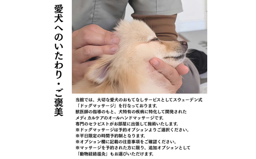 愛犬と癒しの旅　ナガラミリゾートSOSA ご宿泊利用券 9万円分 9万円分